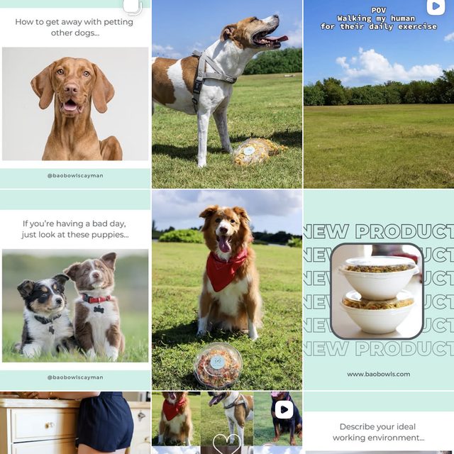 Curated Instagram feed designed and managed by Electric Media Group